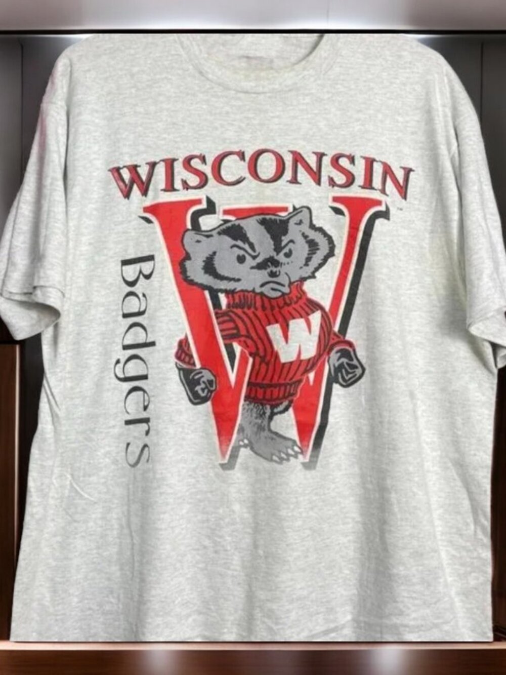 Vintage NCAA Wisconsin Badgers Mascot Logo T-Shirt, Wisconsin Badgers Shirt